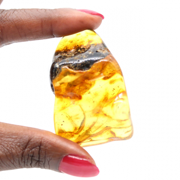 Authentieke gepolijste barnsteen uit Litouwen - Mineralogie-exemplaar
