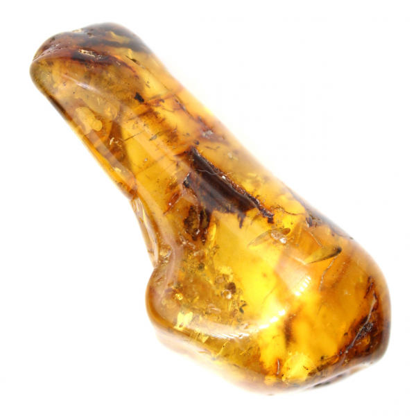 Gepolijst barnsteen kiezelsteen exemplaar - Decoratie en geologische wetenschap