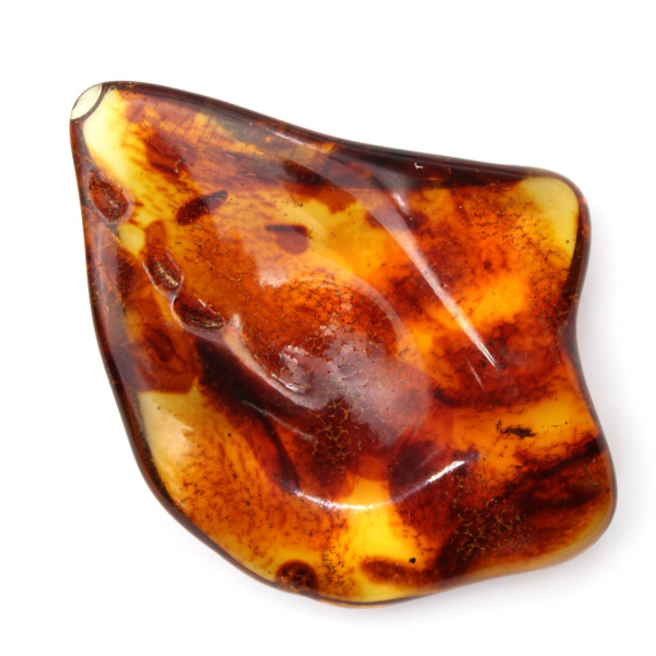 Gepolijst Litouws barnsteen: kiezelsteen voor fossielencollectie