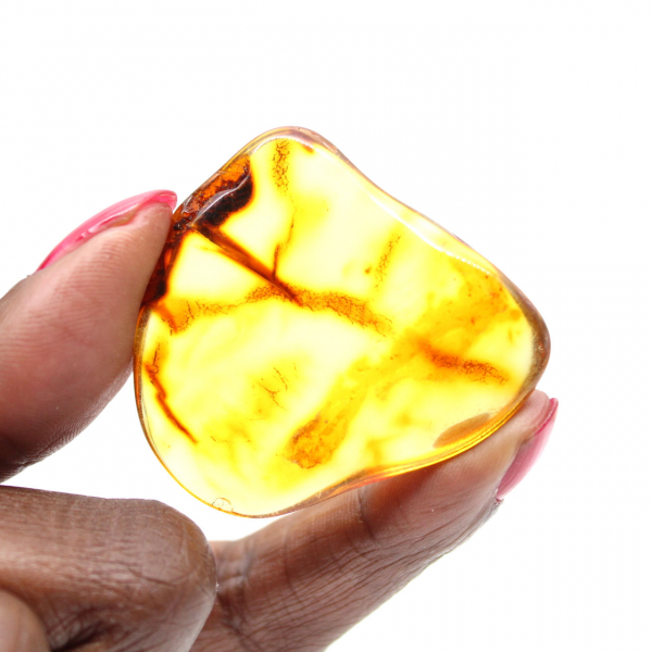 Kleine gepolijste Litouwse barnsteenkiezel - Authenticiteit en wetenschap