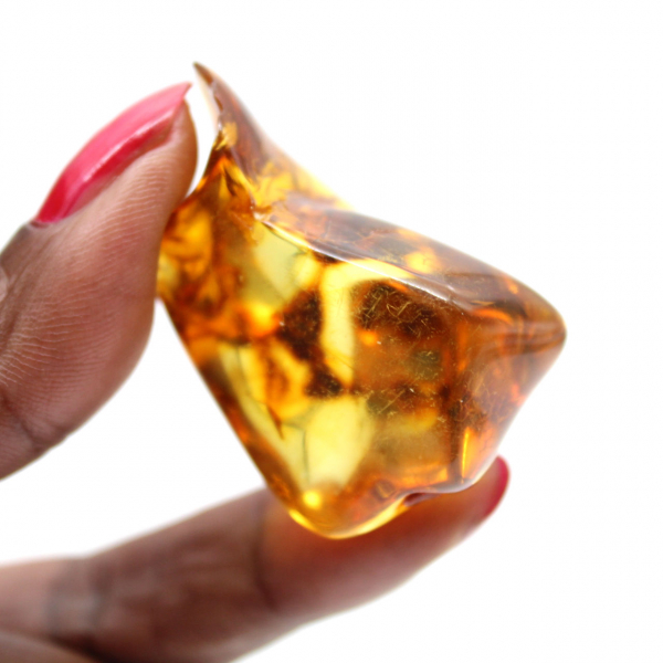 Gepolijste Litouwse barnsteenkiezel - Natuurlijke schoonheid en collectie