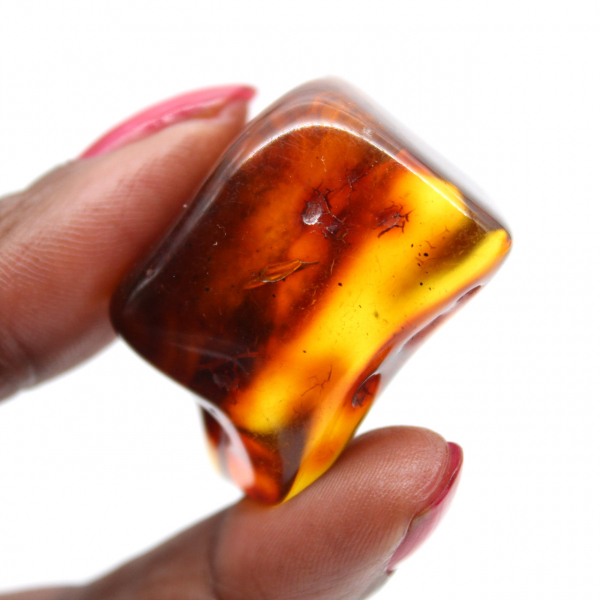 Gepolijste barnsteen kiezelsteen - Interieurdecoratie