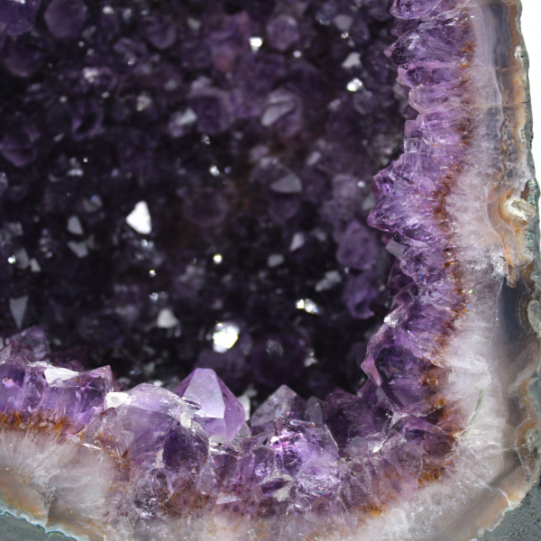 Grote Braziliaanse amethistgeode voor interieurdecoratie en verzameling