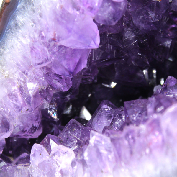  Braziliaanse amethistgeode met paarse kristallen voor verzamelaars