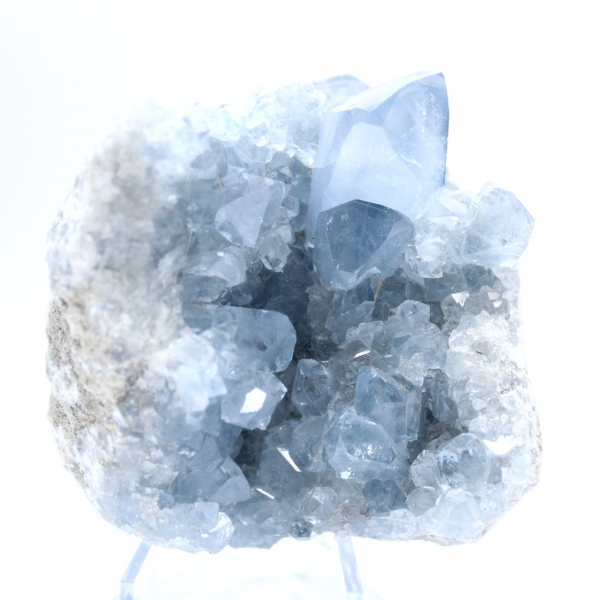 Blauwe celestien-exemplaar met glanzende kristallen