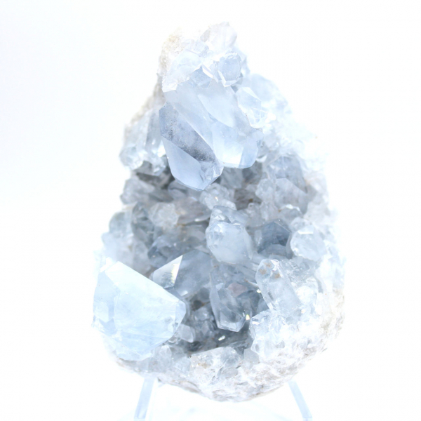 Decoratief exemplaar blauwe celestien Madagaskar