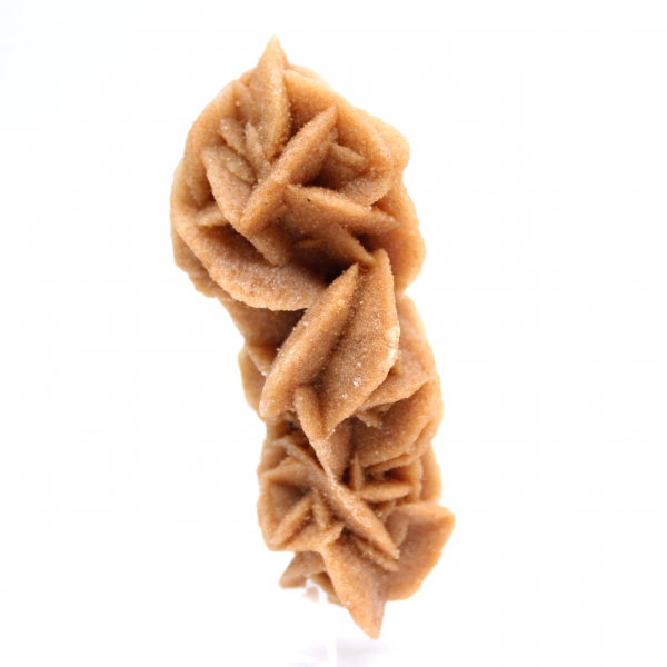 Rose des sables collectie uit Tunesië
