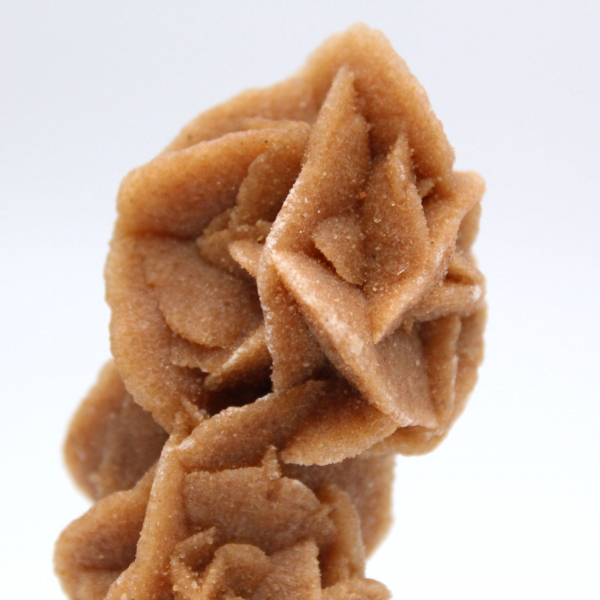 Rose des sables collectie uit Tunesië