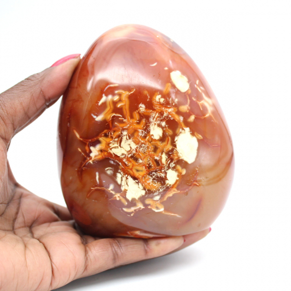 Gepolijste carneool ornamentdecoratie - natuurlijk mineraal uit Madagaskar voor verzamelaars