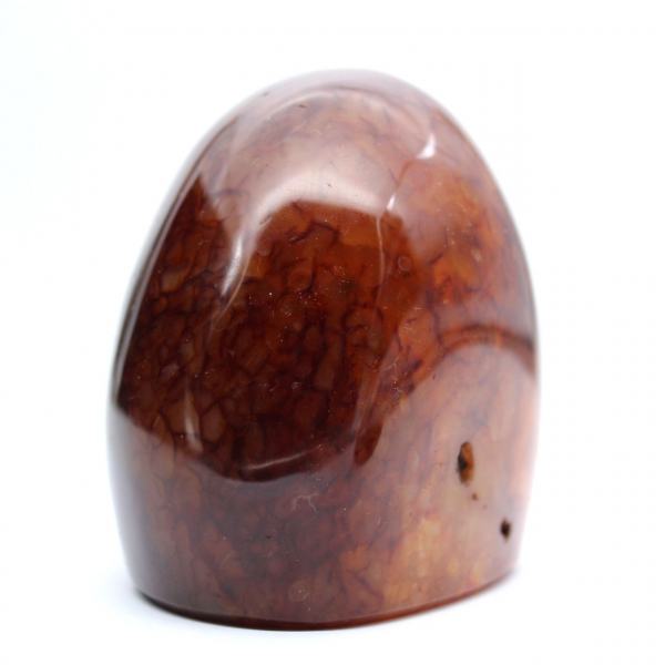 Echte gepolijste carneool voor verzameling en decoratie - Ornament uit Madagaskar