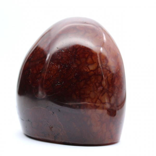 Echte gepolijste carneool voor verzameling en decoratie - Ornament uit Madagaskar