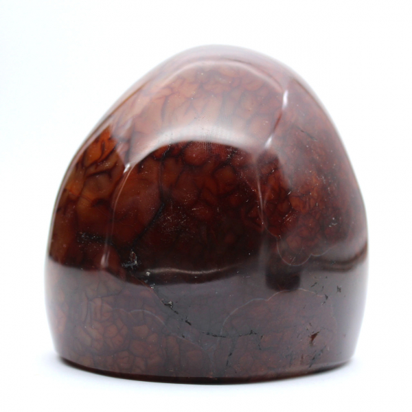 Echte gepolijste carneool voor verzameling en decoratie - Ornament uit Madagaskar