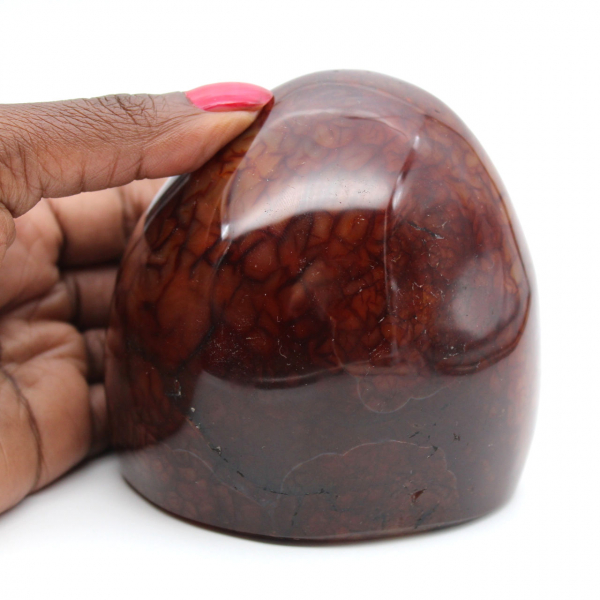 Echte gepolijste carneool voor verzameling en decoratie - Ornament uit Madagaskar