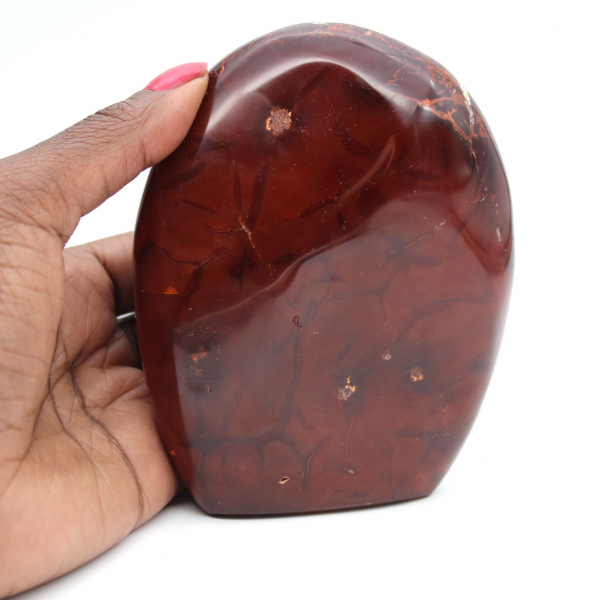 Gepolijste carneool kwaliteitsversiering - Natuurlijk verzamelmineraal (Madagaskar)