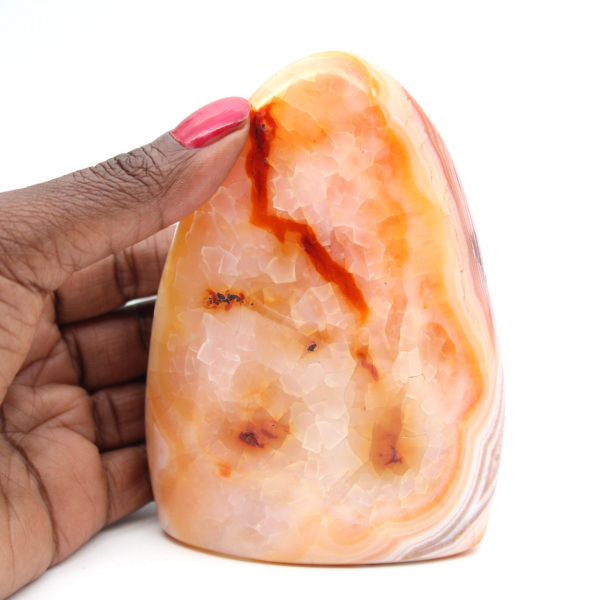 Gepolijste carneool uit Madagaskar - Natuursteenmonster voor decoratie en wetenschap