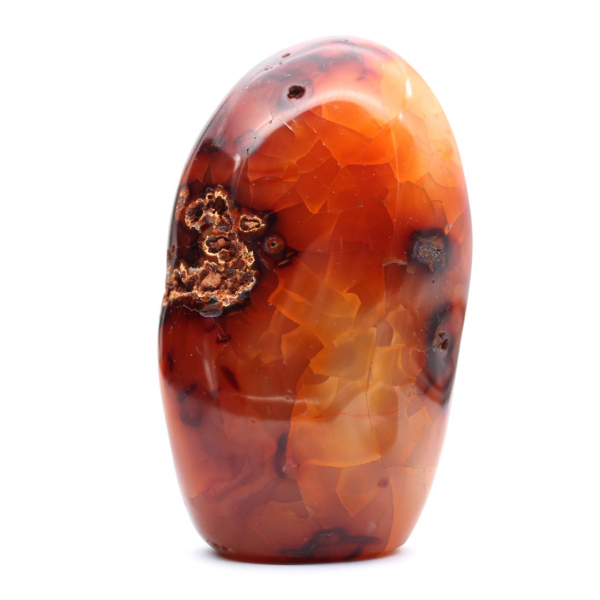 Gepolijste Madagaskar-carneool - Decoratief en wetenschappelijk exemplaar (natuursteen)