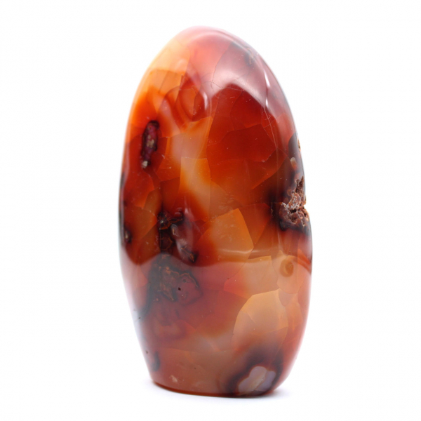 Gepolijste Madagaskar-carneool - Decoratief en wetenschappelijk exemplaar (natuursteen)