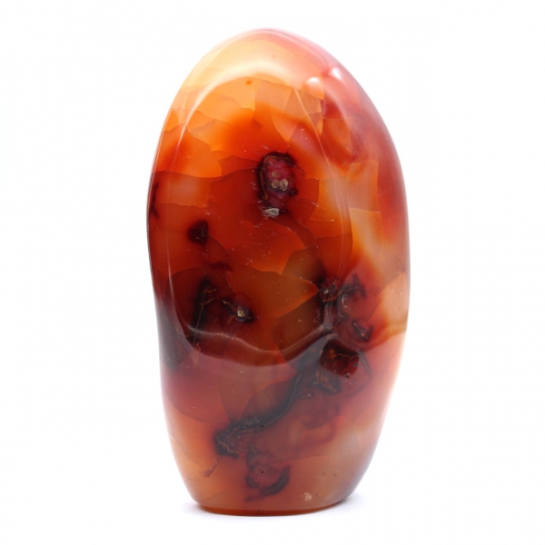 Gepolijste Madagaskar-carneool - Decoratief en wetenschappelijk exemplaar (natuursteen)