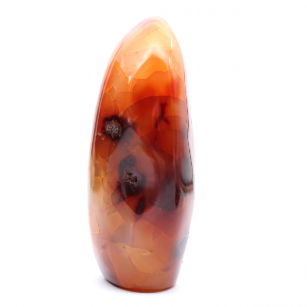 Gepolijste Madagaskar-carneool - Decoratief en wetenschappelijk exemplaar (natuursteen)