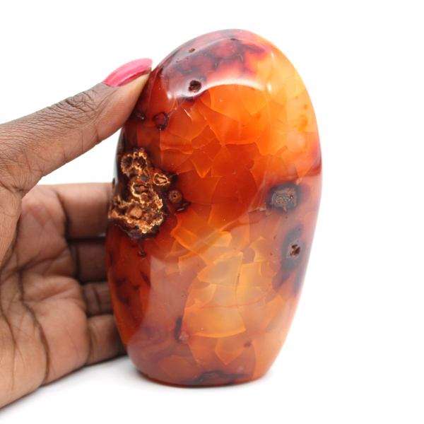 Gepolijste Madagaskar-carneool - Decoratief en wetenschappelijk exemplaar (natuursteen)