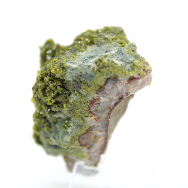 Kleine groene epidoot op Marokkaanse matrix