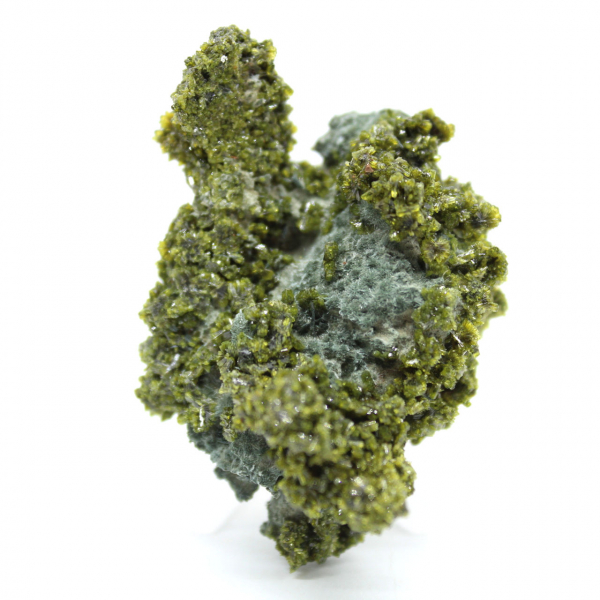 Groene Marokkaanse epidoot op gastgesteente