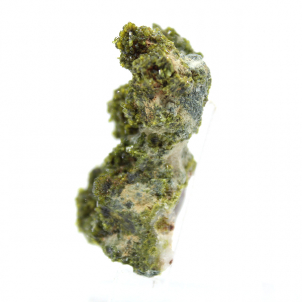 Miniatuur epidoot op Marokkaanse matrix