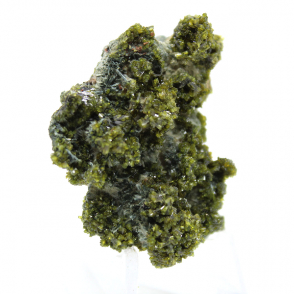 Miniatuur epidoot op Marokkaanse matrix