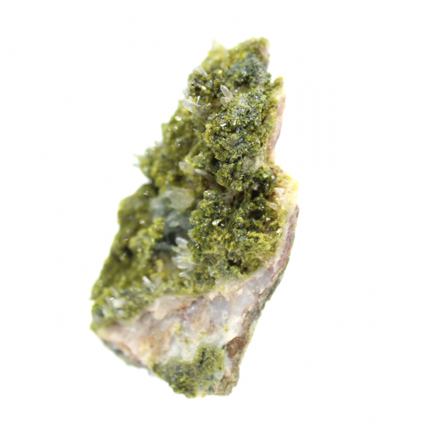 Marokkaanse epidoot op beige matrix