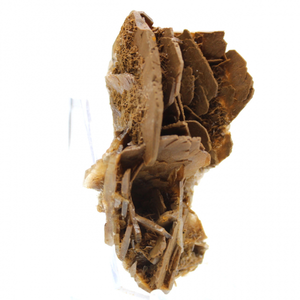 Miniatuurexemplaar van bariet uit Marokko