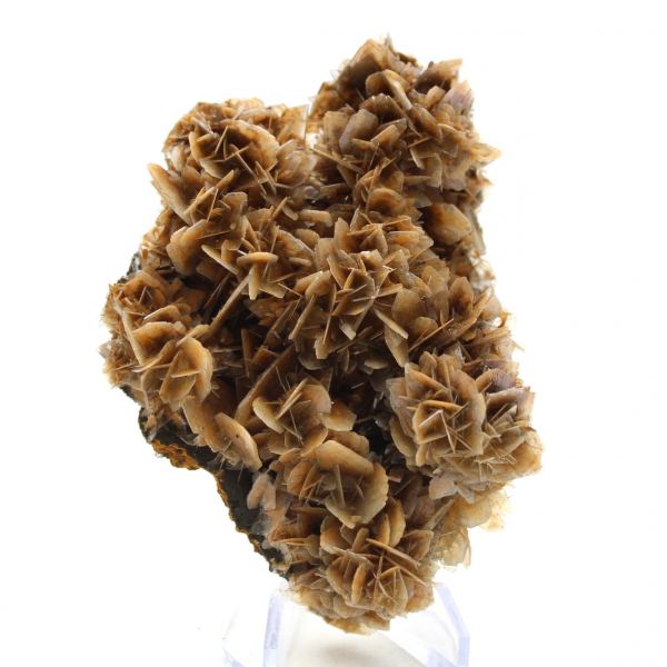 Doorschijnende bruine bariet uit Marokko