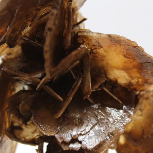 Microkristallen van bariet uit Marokko