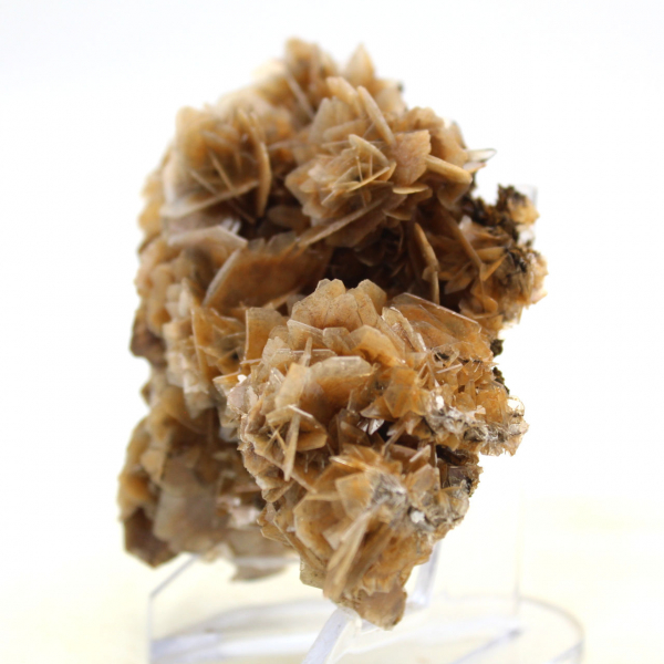 Marokkaanse bariet met een fijne structuur