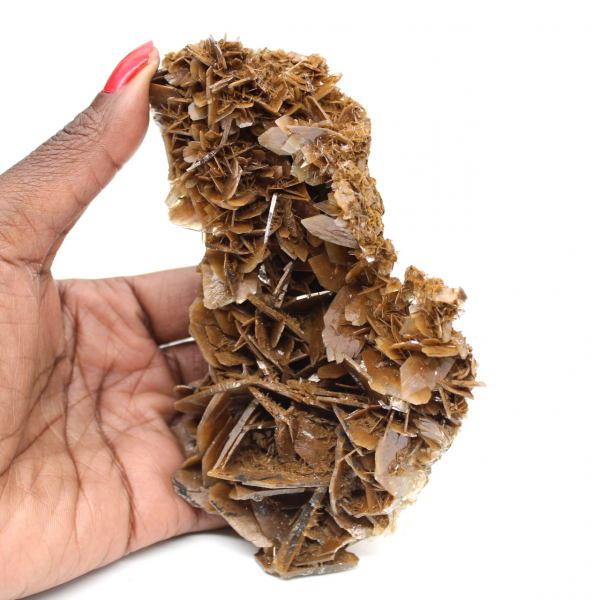 Gouden kristallen van Marokkaanse bariet