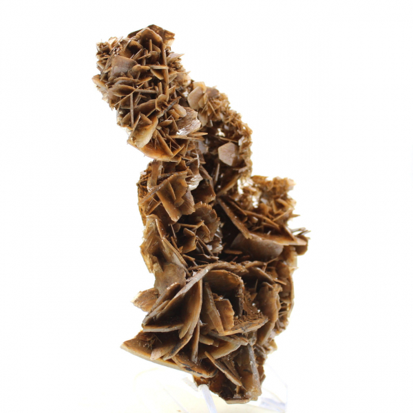 Gouden kristallen van Marokkaanse bariet