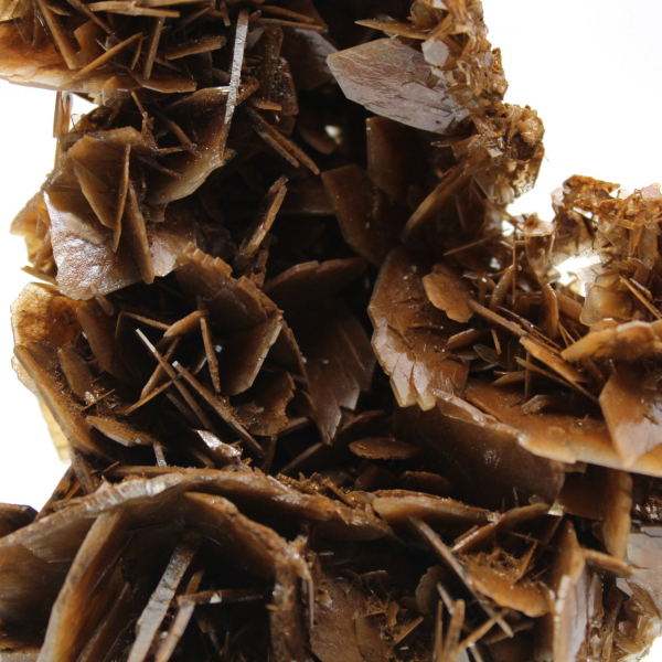 Gouden kristallen van Marokkaanse bariet