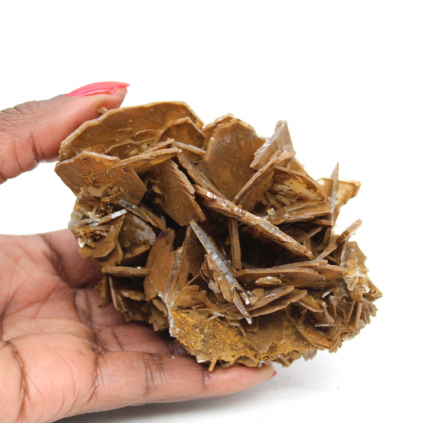 Bruine kristallisatie van bariet uit Marokko