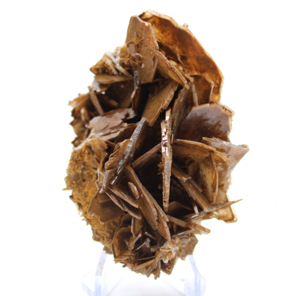 Bruine kristallisatie van bariet uit Marokko