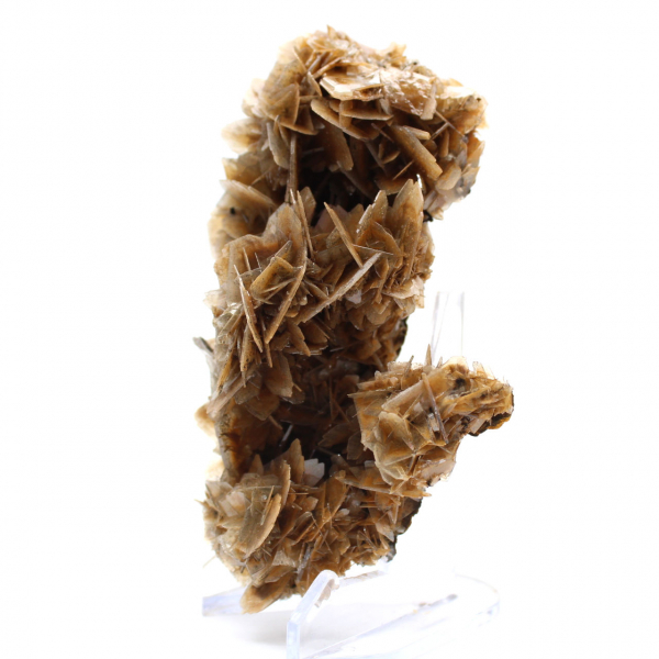 Lamellaire kristallen van Marokkaanse bariet