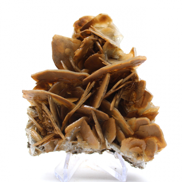 Bruine kristallen van bariet uit Ouichane