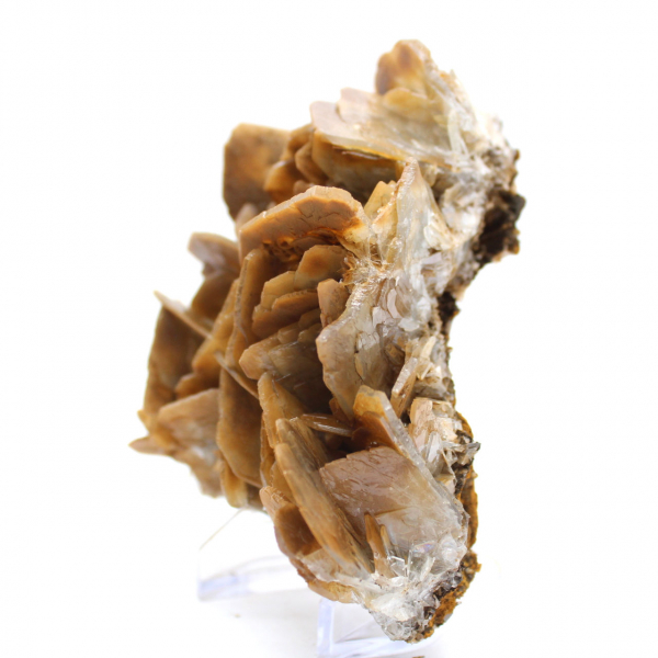 Bruine kristallen van bariet uit Ouichane