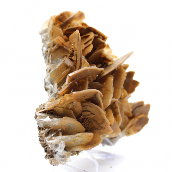 Bruine kristallen van bariet uit Ouichane