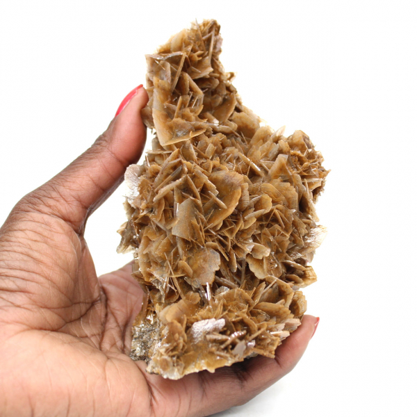 Marokkaanse barietmunt met bruine kristallen