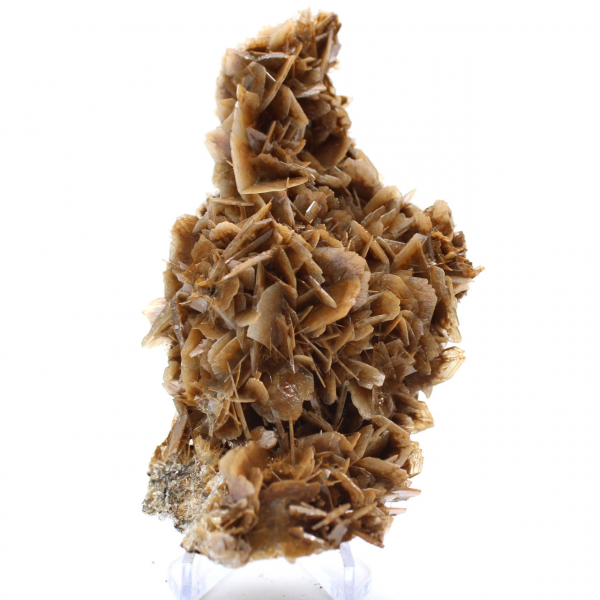 Marokkaanse barietmunt met bruine kristallen