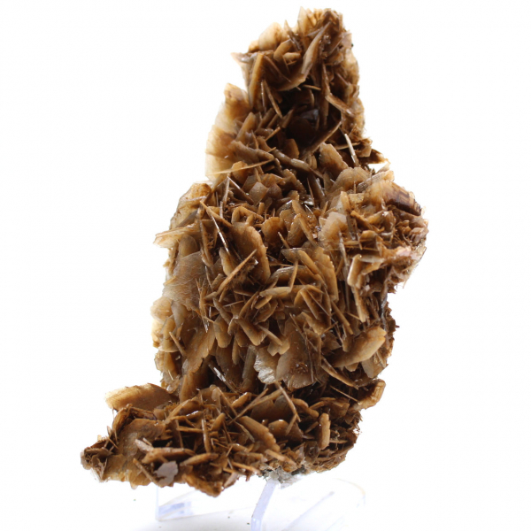 Marokkaanse barietmunt met bruine kristallen