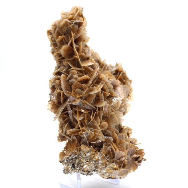 Marokkaanse barietmunt met bruine kristallen