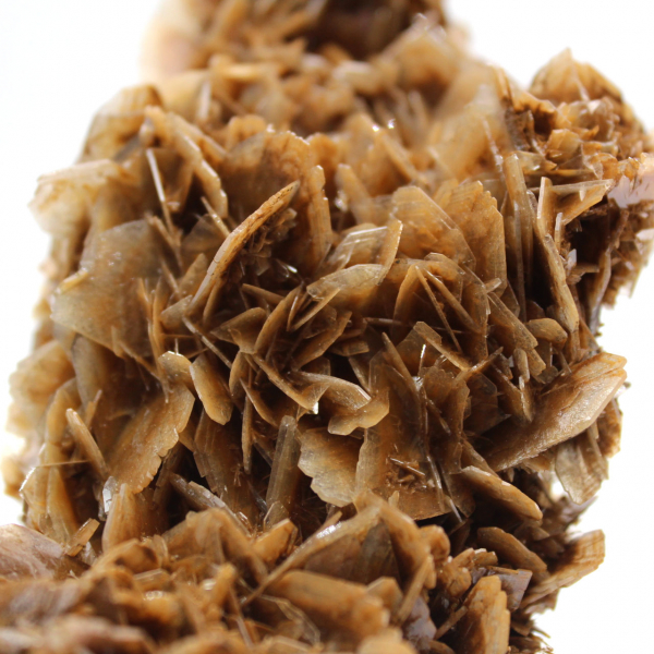 Marokkaanse barietmunt met bruine kristallen