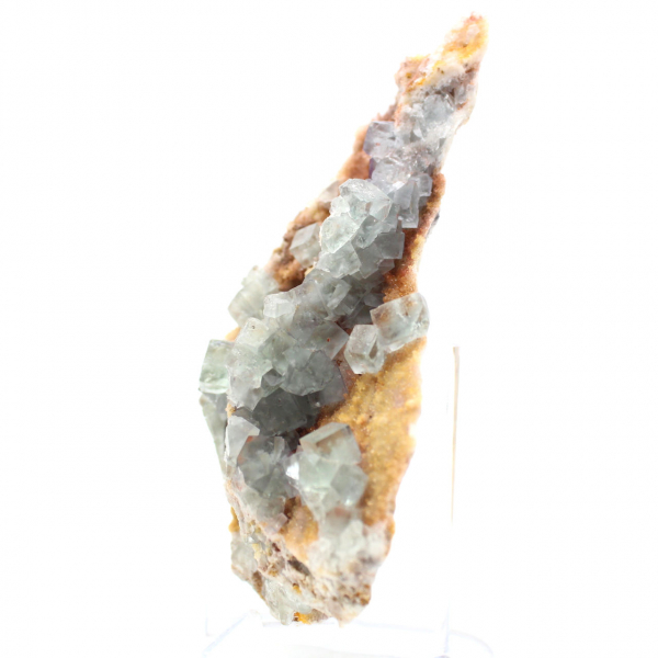 Groene fluorietrots: groot kristal op zijn matrix