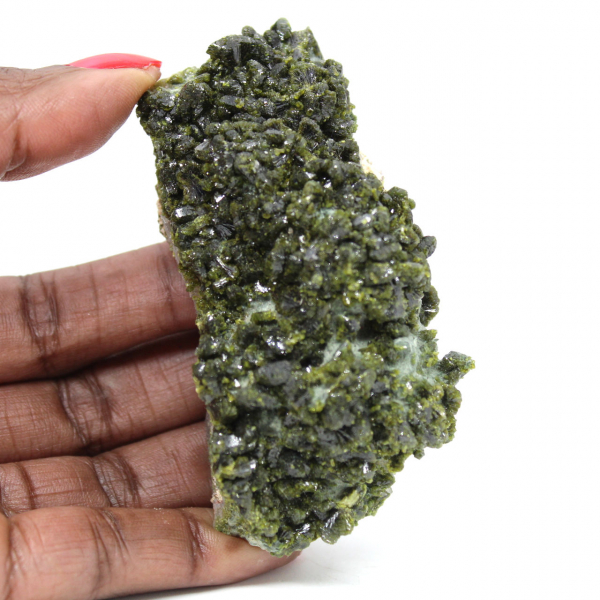 Imilchil-epidoot op originele rots