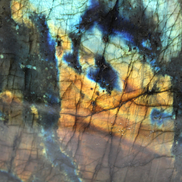 Gepolijst labradoriet, mineralogisch specimen